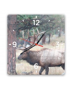 Wapiti