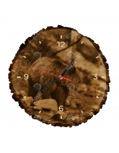 Grizzlybär