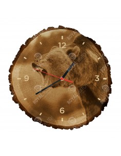 Grizzlybär