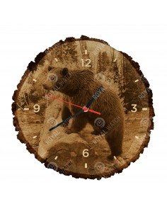 Гризли
