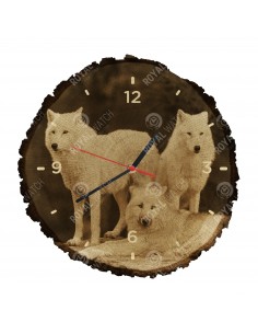 Полярный волк