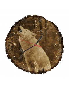 Полярный волк