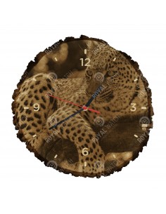 Leopard škvrnitý