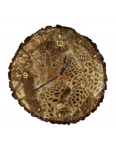 Leopard škvrnitý