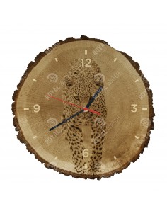 Leopard škvrnitý