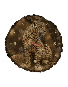 Leopard škvrnitý