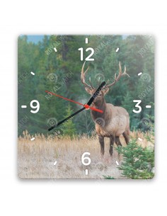 Wapiti