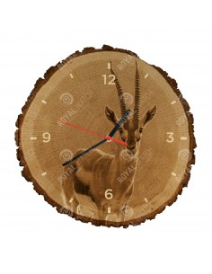 Газель Томсона