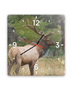 Wapiti