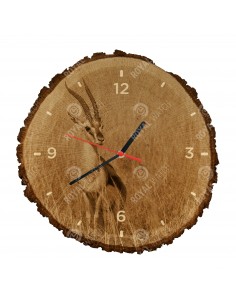 Газель Томсона