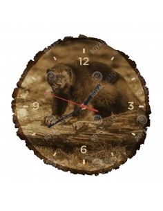 Rosomak tundrowy