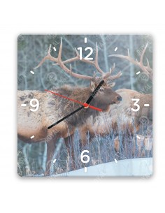 Wapiti