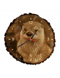 Eurasian otter