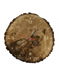 Krokuta cętkowana