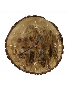 Hyena skvrnitá