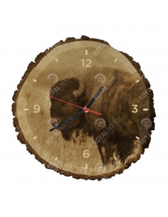 Amerikanischer Bison
