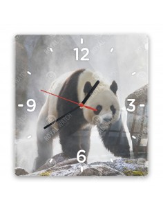 Panda wielka