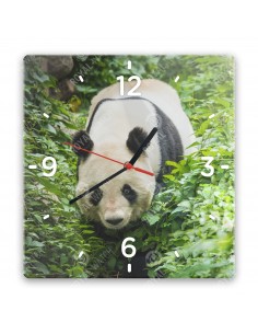 Panda velká