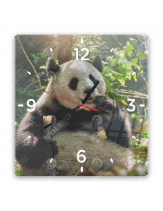 Panda velká