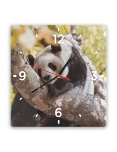Großer Panda