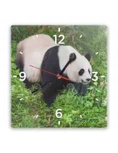 Panda wielka
