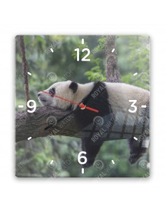 Großer Panda