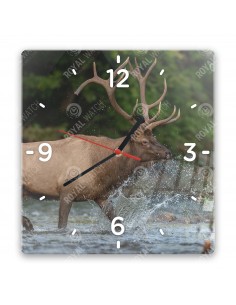 Wapiti