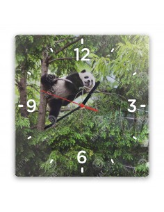 Panda velká