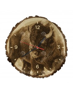 Amerikanischer Bison