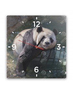 Panda velká