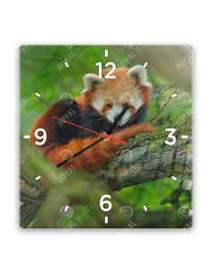 Panda červená