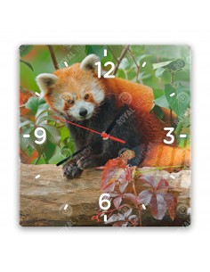 Panda červená