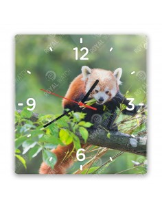 Panda červená