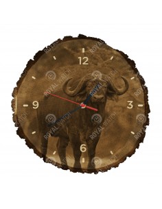 African buffalo