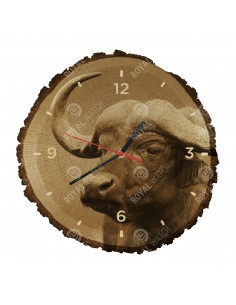 Buvol africký