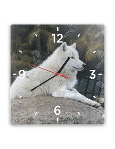 Полярный волк