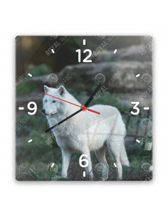 Полярный волк