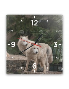 Полярный волк