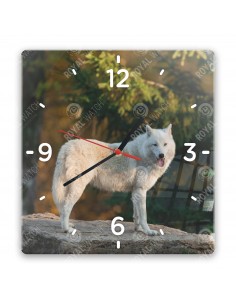 Полярный волк