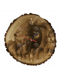 Kaffernbüffel
