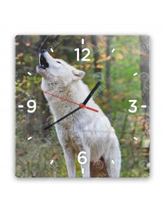 Полярный волк