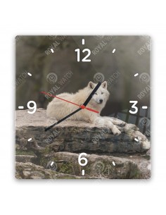 Полярный волк