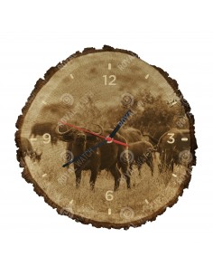 Byvol africký