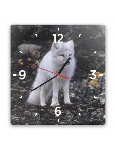 Polarfuchs