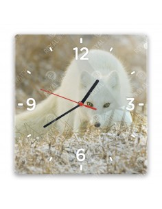 Polarfuchs