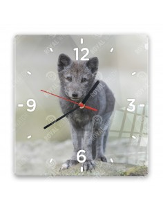 Polarfuchs