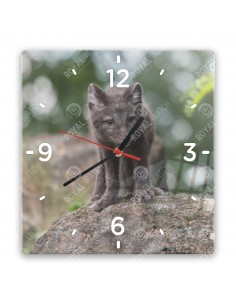 Polarfuchs