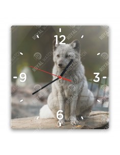 Polarfuchs