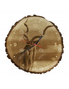 Kudu antilope