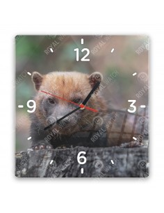 Кустарниковая собака